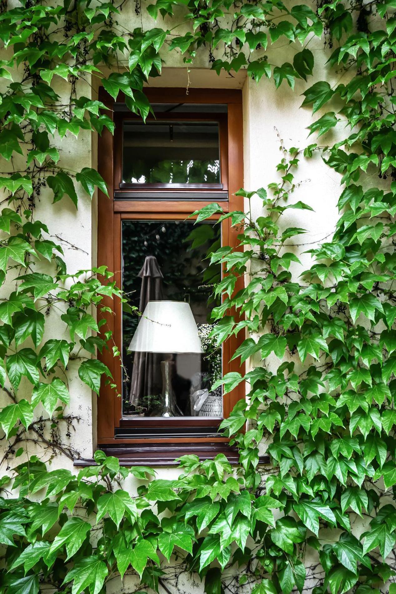 Shato Luxe Oděsa Exteriér fotografie